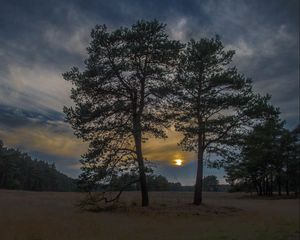 Превью обои закат, деревья, небо, ночь