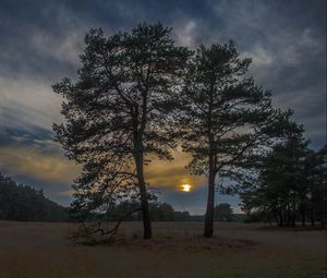 Превью обои закат, деревья, небо, ночь