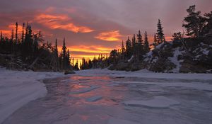 Превью обои закат, деревья, небо, снег