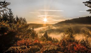 Превью обои закат, деревья, осень, лес, небо