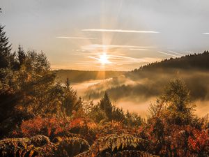 Превью обои закат, деревья, осень, лес, небо