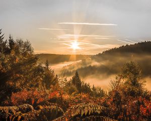 Превью обои закат, деревья, осень, лес, небо