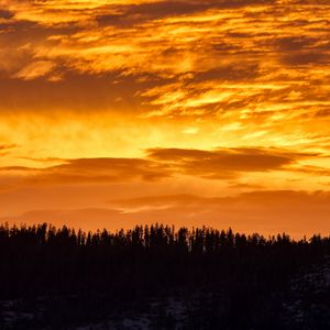 Превью обои закат, деревья, силуэт, облака