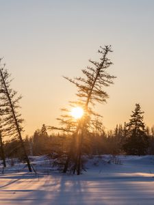 Превью обои закат, деревья, снег, зима, природа