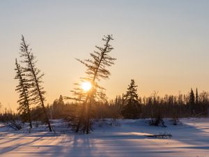 Превью обои закат, деревья, снег, зима, природа