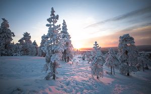 Превью обои закат, деревья, снег, зима