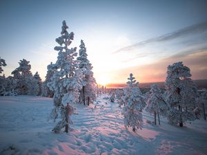 Превью обои закат, деревья, снег, зима