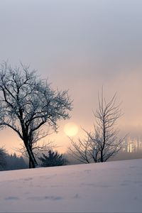 Превью обои закат, деревья, снег, зима, вечер, природа