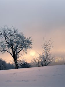 Превью обои закат, деревья, снег, зима, вечер, природа