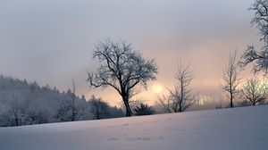 Превью обои закат, деревья, снег, зима, вечер, природа