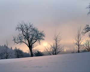 Превью обои закат, деревья, снег, зима, вечер, природа