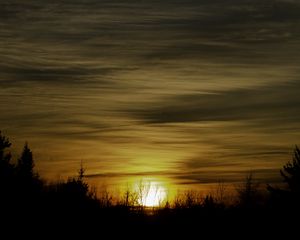 Превью обои закат, деревья, солнце, небо, темный