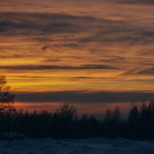 Превью обои закат, деревья, зима, снег