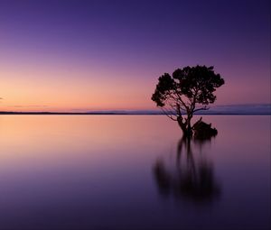 Превью обои закат, дерево, озеро, небо, вода, вечер, пурпурный