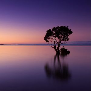 Превью обои закат, дерево, озеро, небо, вода, вечер, пурпурный