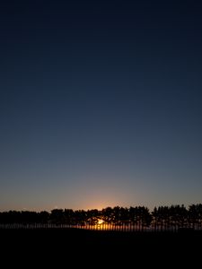 Превью обои закат, ель, деревья, небо, солнце