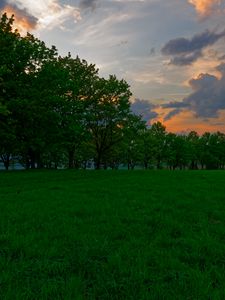 Превью обои закат, луг, трава, деревья