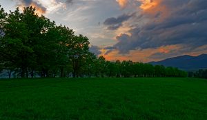 Превью обои закат, луг, трава, деревья