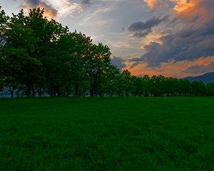 Превью обои закат, луг, трава, деревья