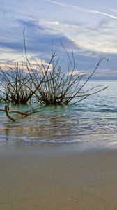 Превью обои закат, море, берег, пейзаж