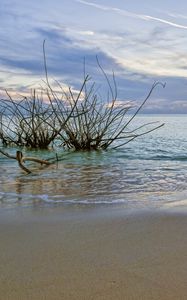 Превью обои закат, море, берег, пейзаж