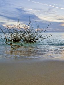 Превью обои закат, море, берег, пейзаж