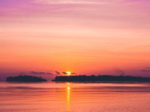 Превью обои закат, море, горизонт, деревья, небо