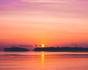 Превью обои закат, море, горизонт, деревья, небо