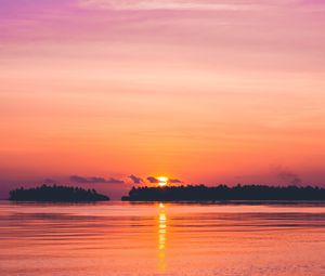 Превью обои закат, море, горизонт, деревья, небо