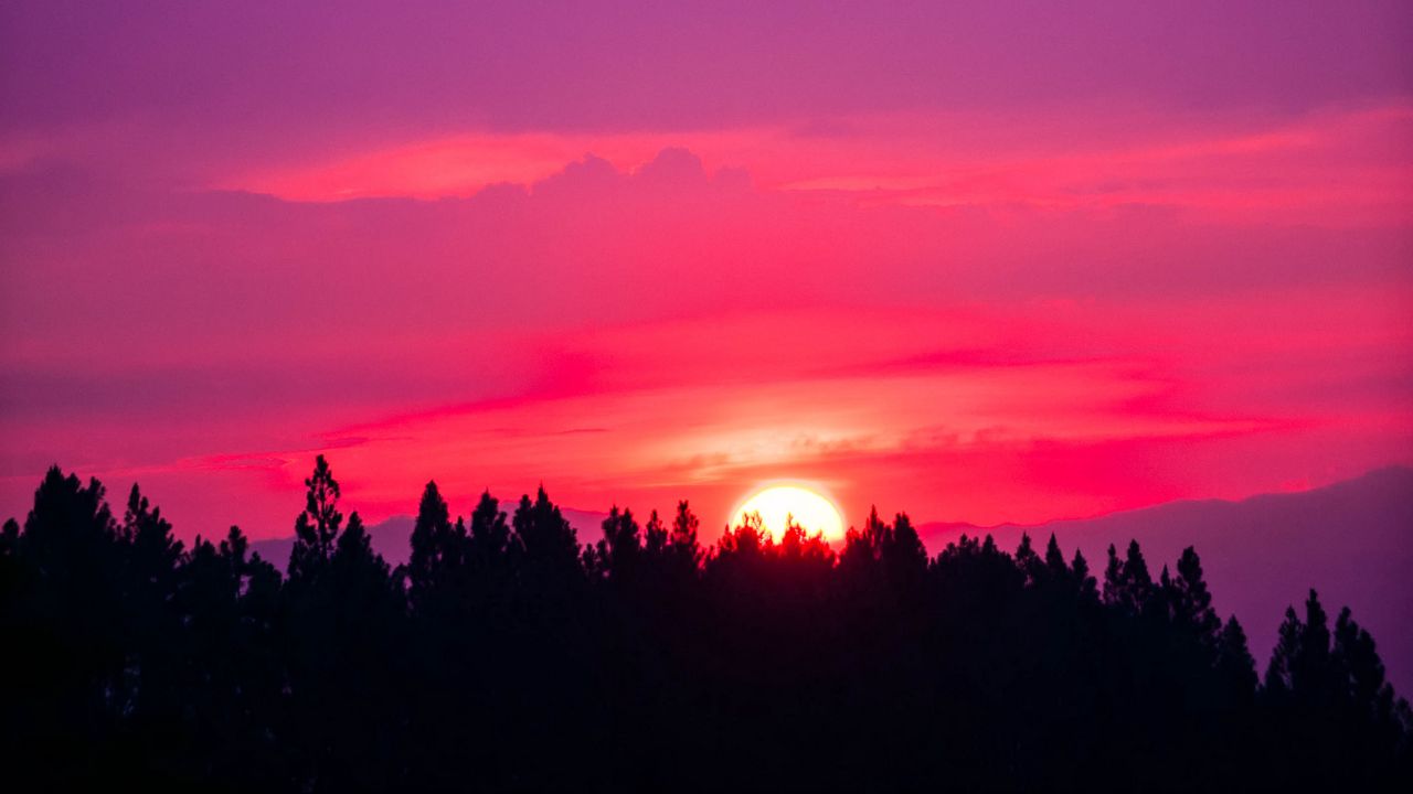 Обои закат, небо, розовый, деревья, солнце
