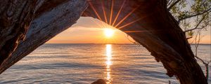 Превью обои закат, озеро, дерево, солнце, лучи