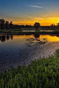 Превью обои закат, озеро, коряги, ветки, небо, оранжевый, спокойствие