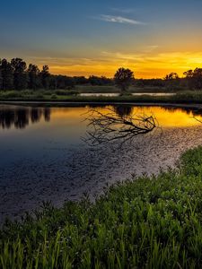 Превью обои закат, озеро, коряги, ветки, небо, оранжевый, спокойствие