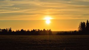 Превью обои закат, поле, деревья, солнце, пейзаж