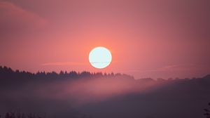 Превью обои закат, солнце, ель, деревья, розовый