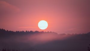 Превью обои закат, солнце, ель, деревья, розовый