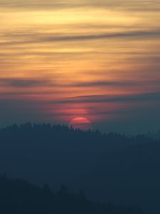 Превью обои закат, солнце, ель, деревья, небо