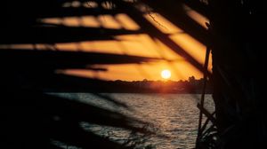 Превью обои закат, солнце, море, ветки, листья