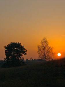 Превью обои закат, солнце, склон, деревья, трава