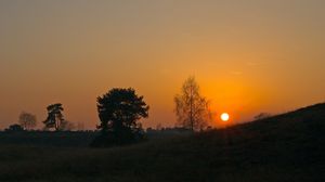 Превью обои закат, солнце, склон, деревья, трава