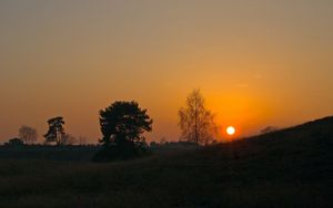 Превью обои закат, солнце, склон, деревья, трава