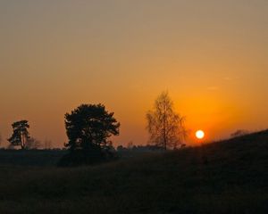 Превью обои закат, солнце, склон, деревья, трава