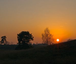 Превью обои закат, солнце, склон, деревья, трава