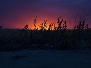 Превью обои закат, трава, горизонт, сумерки, темный