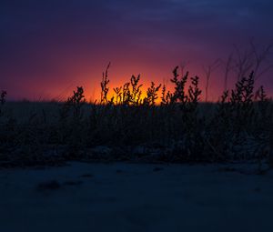 Превью обои закат, трава, горизонт, сумерки, темный