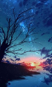 Превью обои закат, ветки, дерево, туманность, частицы, звезды, арт