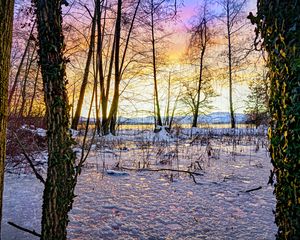 Превью обои закат, зима, снег, лед, деревья, природа