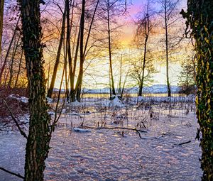 Превью обои закат, зима, снег, лед, деревья, природа