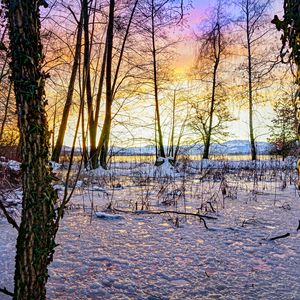 Превью обои закат, зима, снег, лед, деревья, природа