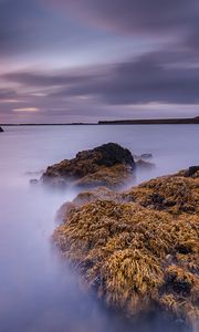 Превью обои залив, камни, водоросли, рассвет, гладь воды